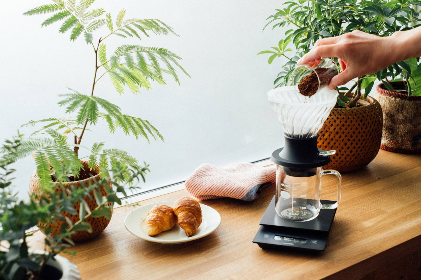 HARIO V60 Glass Immersion Dripper SWITCH: 200mL