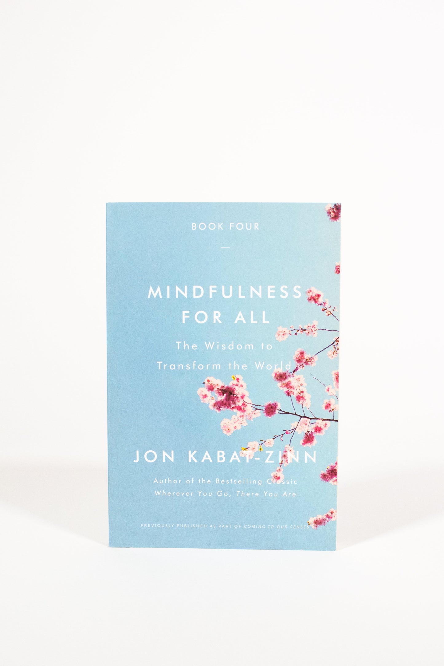 Mindfulness for All: The Wisdom to Transform the World: US Edition - Jon Kabat-Zinn